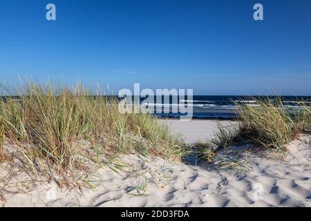 Geografia / viaggio, Svezia, Skane, Loederup, le dune di Sandhammaren, Ystad, Skane, Svezia del Sud, Additional-Rights-Clearance-Info-Not-Available Foto Stock