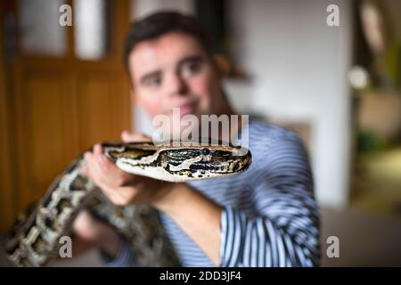 Sindrome di Down uomo adulto seduto in camera da letto in casa, giocando con il serpente dell'animale domestico. Foto Stock