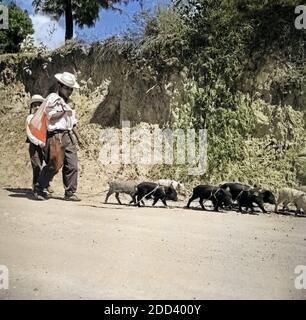 Einheimische in der Kleinstadt Chichicastenango im Hochland von Guatemala, 1960er Jahre. A Natale la città di Chichicastenango nel Guatemala highlands, 1960s. Foto Stock