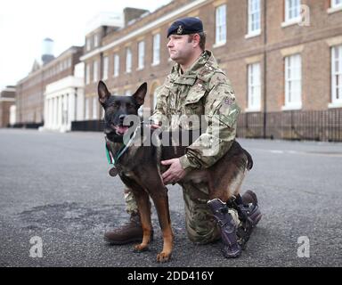 Un gestore di cani militari in funzione con Kuno, un pastore belga di quattro anni Malinois e un cane da lavoro militare, a Woolwich Barracks a Londra, con la sua medaglia PDSA Dickin per il valore, il premio più alto che ogni animale può ricevere mentre serve in conflitto militare. Kuno ha ricevuto il premio dopo essere stato ferito in azione mentre salvava eroicamente la vita delle forze britanniche che combattevano al Qaeda. Foto Stock