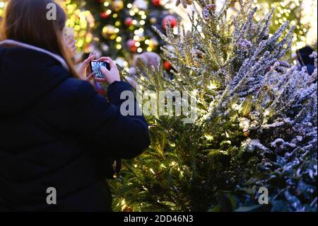 La ragazza adulta scatta una foto sul suo telefono di un albero di Natale decorato con ghirlande con luci incandescenti di notte, vista posteriore Foto Stock
