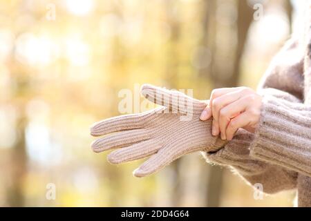 Primo piano di mani di donna che mettono guanti di lana in un autunno freddo in un parco Foto Stock