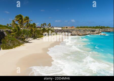 Alloggiamento inferiore è una delle più belle spiagge dell'isola caraibica di Barbados. Si tratta di un paradiso tropicale con palme appesa sopra il mare turchese un Foto Stock