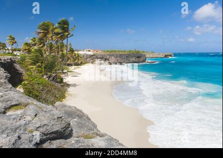 Alloggiamento inferiore è una delle più belle spiagge dell'isola caraibica di Barbados. Si tratta di un paradiso tropicale con palme appesa sopra il mare turchese un Foto Stock