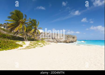 Alloggiamento inferiore è una delle più belle spiagge dell'isola caraibica di Barbados. Si tratta di un paradiso tropicale con palme appesa sopra il mare turchese un Foto Stock