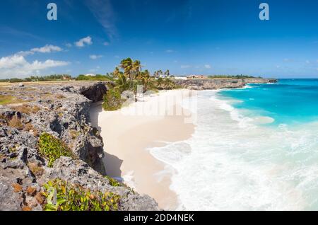 Alloggiamento inferiore è una delle più belle spiagge dell'isola caraibica di Barbados. Si tratta di un paradiso tropicale con palme appesa sopra il mare turchese un Foto Stock