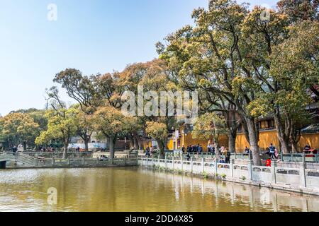 Edifici tradizionali cinesi e templi vicino al lago a Putuoshan, isole Zhoushan, un luogo rinomato in cinese bodhimanda della bodhisattva Aval Foto Stock