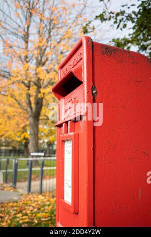 Newcastle/UK: 25 ottobre 2020, casella postale rossa Royal Mail in autunno Foto Stock