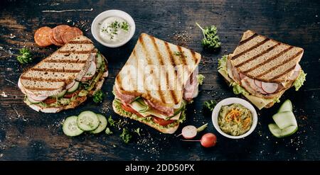 Assortimento di salutari panini alla griglia gourmet ripieni di carne, formaggio e salumi circondati da condimenti e ingredienti ad alta angolazione Foto Stock