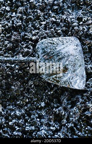 Chicchi di caffè tradizionali arrostiti su una vecchia teglia in acciaio con pinna metallica, prodotti locali nel sud della Thailandia. Disposizione piatta. Vista dall'alto. Foto Stock