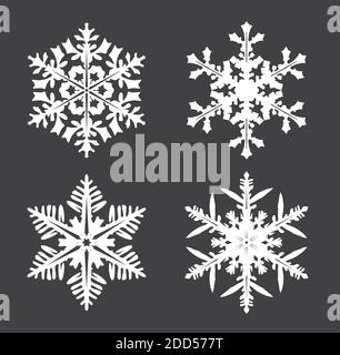 Collezione di fiocchi di neve bianchi su sfondo grigio. Illustrazione vettoriale e design del logo. Illustrazione Vettoriale