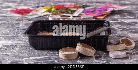 Preparazione per piantare semi di fiori. Tavolette di peat seedling, pinzette, contenitore, sacchetti con semi di fiori su un tavolo di cemento. Concetto di floricoltura. Foto Stock
