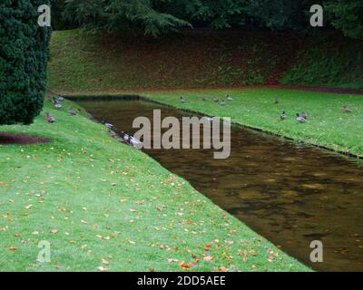 Bickton Park Botanical Gardens, East Devon, Regno Unito. Splendidi giardini strutturati. Chiesa Parrocchiale di S. Maria. Orangerie del Tempio, legno lussureggiante e Parkland Foto Stock