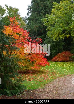 Bickton Park Botanical Gardens, East Devon, Regno Unito. Splendidi giardini strutturati. Chiesa Parrocchiale di S. Maria. Orangerie del Tempio, legno lussureggiante e Parkland Foto Stock