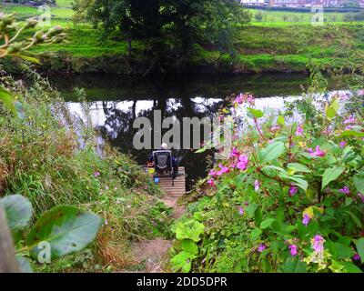 PESCA ANDATA (sulle rive del fiume Calder a lato di Whalley Abbey, Lancashire, Regno Unito nel 2020) - nel 1296 i monaci di Stanlow Point, Cheshire si trasferì a nord a Whalley, Lancashire dove costruirono un nuovo monastero accanto al fiume Calder. Vi era già una cappella sul sito, eretto da Pietro di Chester, il rettore di Whalley e che l'edificio del 13 ° secolo è stato incorporato nel nuovo monastero. La pietra di fondazione per la nuova chiesa abbaziale fu posata nel giugno 1296 da Henry de Lacy, il 10° barone di Halton. Foto Stock