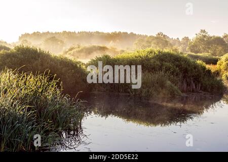 Vapore sull'acqua nella soleggiata buona mattina d'estate Foto Stock