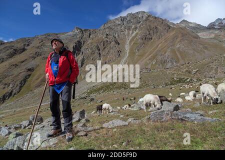 Geografia / viaggio, Italia, Trentino-Alto Adige, il nostro fra, affondato dietro le pecore nel Tisental durante la discesa delle pecore la Schna, modello-rilasciato Foto Stock