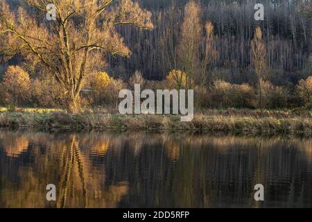 Herbst an der Ruhr in Schwerte, Nordrhein-Westfalen, Deutschland | Autunno nel fiume Ruhr, Schwerte, Nord Reno-Westfalia, Germania. Foto Stock
