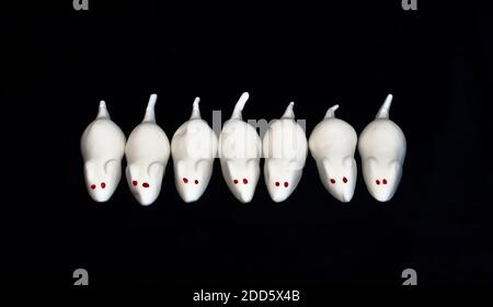 Topi bianchi dolci di marschmallow, zucchero schiumoso, piatti layed in una linea su sfondo nero Foto Stock