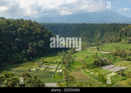 Monte Agung vulcano in lontananza, circondato da un paesaggio di palme, campi da fattoria, e risaie, vicino alla città di Besakih nella pa orientale Foto Stock