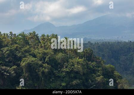Monte Agung vulcano in lontananza, circondato da un paesaggio di palme e foresta pluviale sull'isola di Bali, Indonesia. Foto Stock
