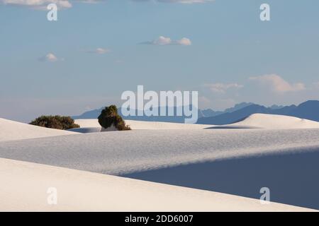 Sabbie bianche Foto Stock