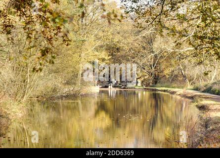 Riflessi autunnali in una bella giornata lungo la bellissima Basingstoke Canale tra Deepcut e Pirbright Foto Stock