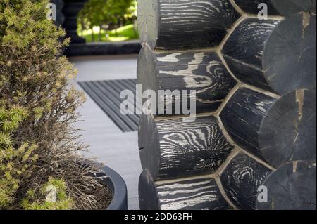 closeup di un angolo casa di legno accanto alla pianta Foto Stock