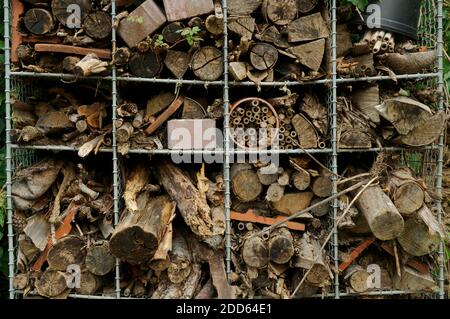Un primo piano di un bug hotel. Foto Stock