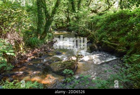 Viadotto di Teffry, Valle di Luxulyan 100920 Foto Stock