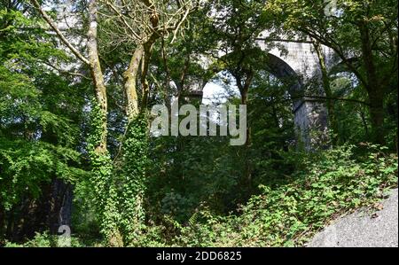 Viadotto di Teffry, Valle di Luxulyan 100920 Foto Stock