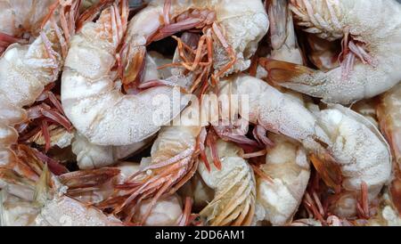 Uno sfondo pieno di gamberetti congelati, primo piano. Foto Stock