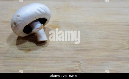 Un unico fungo bianco su un tagliere di legno, con spazio per la copia sulla destra. Foto Stock