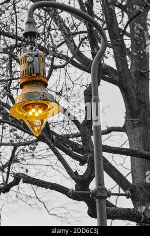 Foto in bianco e nero di una vecchia lampada da strada berlinese su cui è colorato il corpo della lampada. Foto Stock
