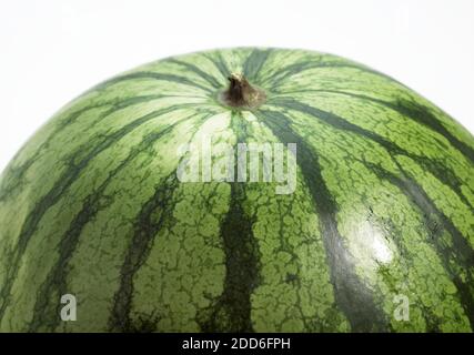 Anguria, Citrullus lanatus, contro uno sfondo bianco Foto Stock