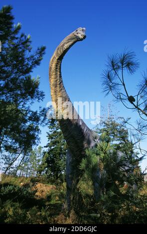 Brachiosaurus, gigantesche Sauropod dinosauro erbivoro durante il Giurassico Foto Stock