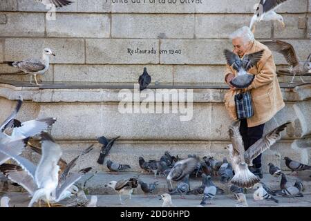 Porto, Portogallo - una donna anziana che alimenta piccioni e gabbiani di fronte alla fontana della città Foto Stock