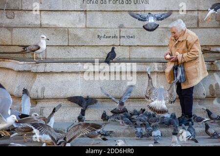 Porto, Portogallo - una donna anziana che alimenta piccioni e gabbiani di fronte alla fontana della città Foto Stock