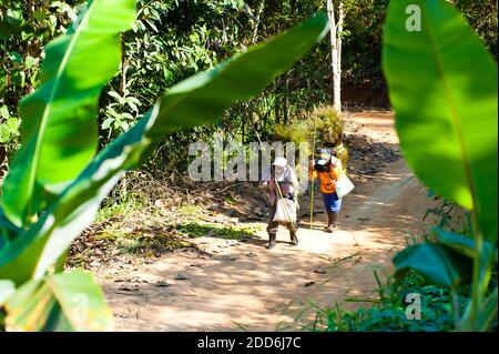 Lahu Tribe Donne che trasportano erba su una collina di Streep, Chiang Rai, Tailandia, Asia sudorientale Foto Stock