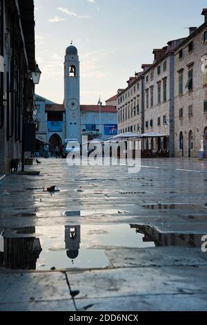 Città vecchia di Dubrovnik, il campanile della città, Dubrovnik, Dalmazia, Croazia Foto Stock