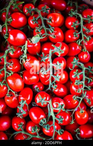 Pomodori al mercato di Ortigia, Siracusa, Sicilia, Italia, Europa Foto Stock