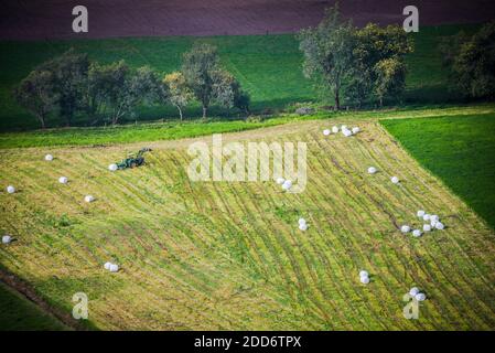 Terreno agricolo a Hacienda Zuleta, Imbabura, Ecuador, Sud America Foto Stock