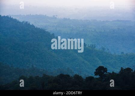 Misty Choco Cloud Rainforest in serata, Ecuador Foto Stock