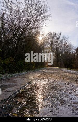 Passeggiata autunnale intorno al lago Seeham Foto Stock