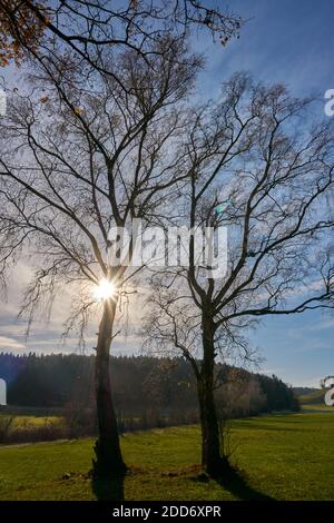 Lago Seehamer in autunno con il sole visibile Foto Stock