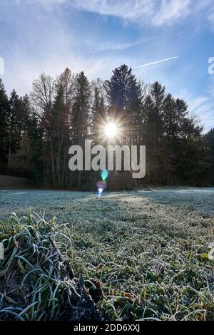 Passeggiata autunnale intorno al lago Seeham Foto Stock