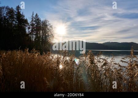 Lago Seehamer in autunno con il sole visibile Foto Stock