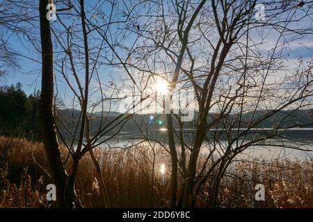 Lago Seehamer in autunno con il sole visibile Foto Stock