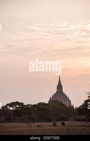 Tempio Sulamani nei Templi di Bagan (Pagan) all'alba, Myanmar (Birmania) Foto Stock