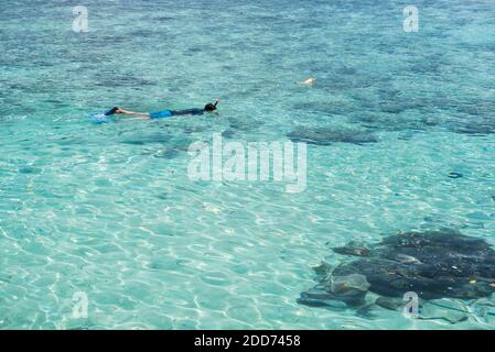 Snorkeling a Iboih Beach, Pulau WEH Island, provincia di Aceh, Sumatra, Indonesia, Asia, sfondo con spazio copia Foto Stock